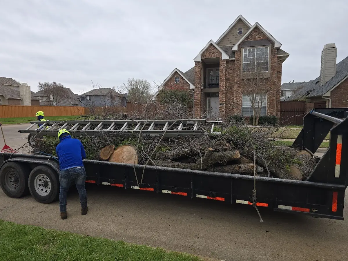 Expert Tree Removal with proper safety equipment in Kinmundy